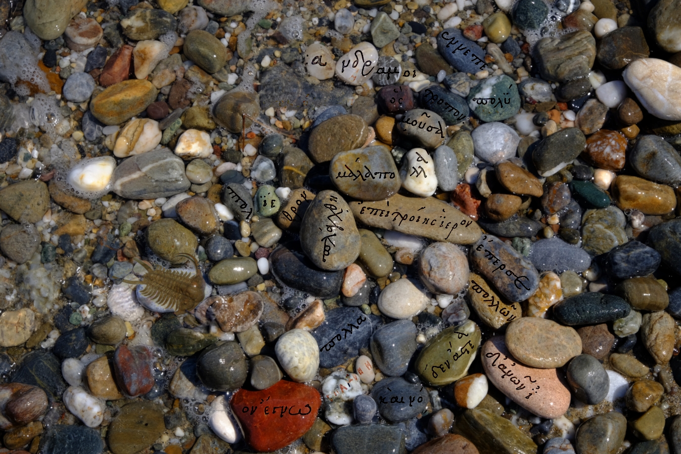 Pebble written (by a homeric trilobite)