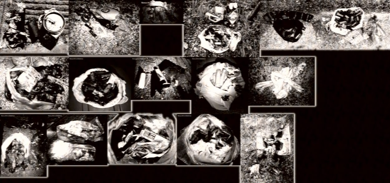 image: thumbnail of selected garbage portrait
